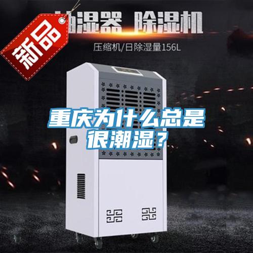 重慶為什么總是很潮濕？