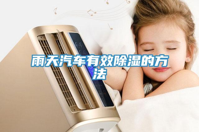 雨天汽車(chē)有效除濕的方法