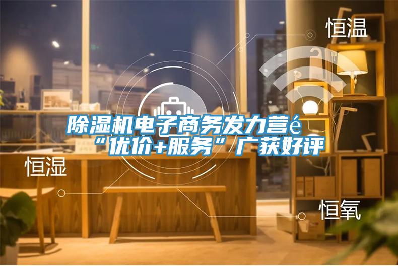 除濕機(jī)電子商務(wù)發(fā)力營銷“優(yōu)價(jià)+服務(wù)”廣獲好評