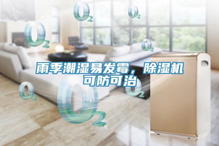雨季潮濕易發(fā)霉，除濕機(jī)可防可治