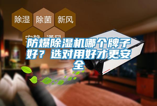 防爆除濕機(jī)哪個(gè)牌子好？選對(duì)用好才更安全