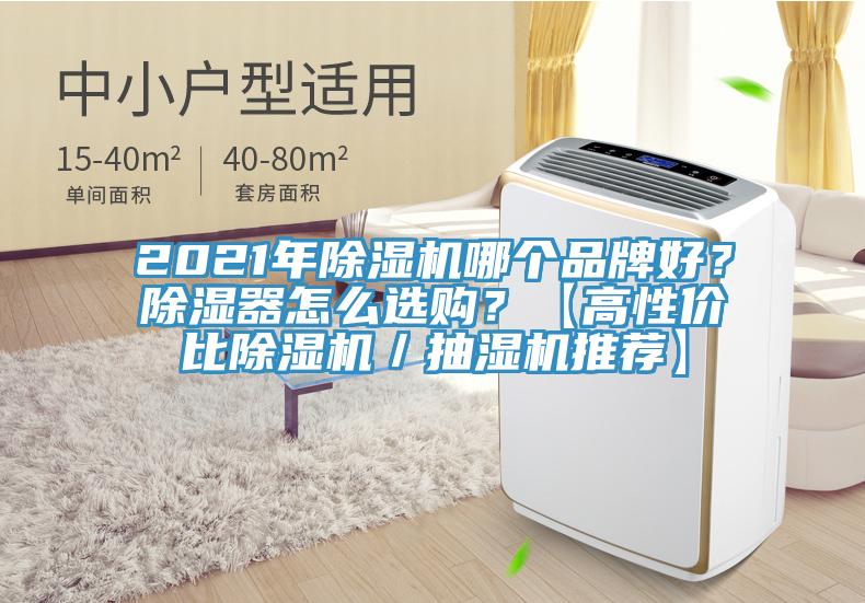 2021年除濕機(jī)哪個(gè)品牌好？除濕器怎么選購(gòu)？【高性?xún)r(jià)比除濕機(jī)／抽濕機(jī)推薦】