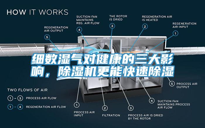 細(xì)數(shù)濕氣對(duì)健康的三大影響，除濕機(jī)更能快速除濕