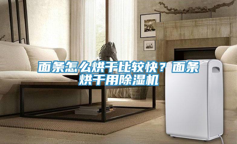 面條怎么烘干比較快？面條烘干用除濕機