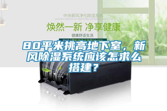 80平米挑高地下室，新風(fēng)除濕系統(tǒng)應(yīng)該怎求么搭建？