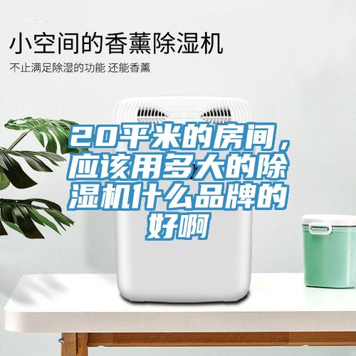 20平米的房間，應該用多大的除濕機什么品牌的好啊