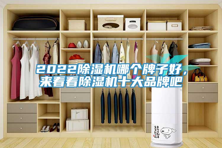 2022除濕機哪個牌子好，來看看除濕機十大品牌吧