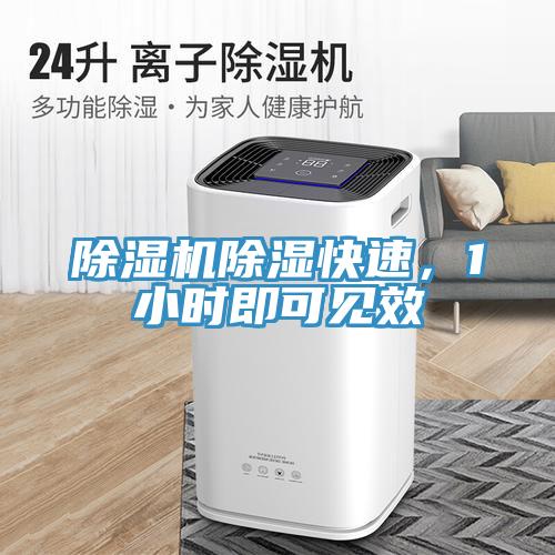 除濕機除濕快速，1小時即可見效