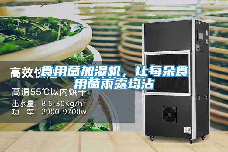 食用菌加濕機(jī)，讓每朵食用菌雨露均沾