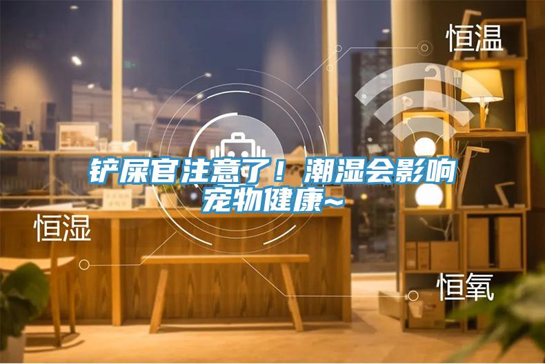 鏟屎官注意了！潮濕會(huì)影響寵物健康~