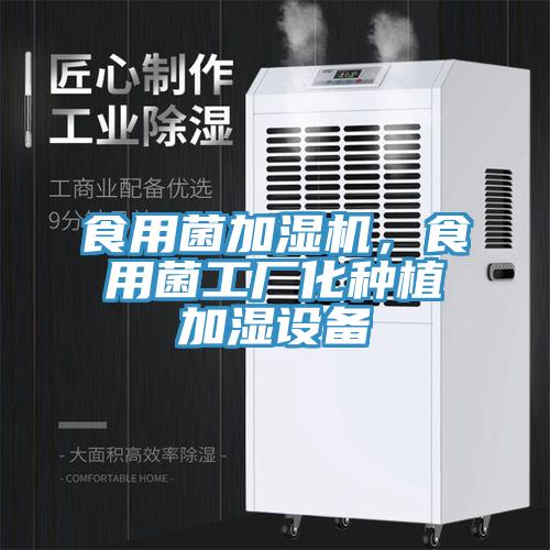 食用菌加濕機(jī)，食用菌工廠化種植加濕設(shè)備