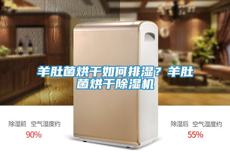 羊肚菌烘干如何排濕？羊肚菌烘干除濕機(jī)