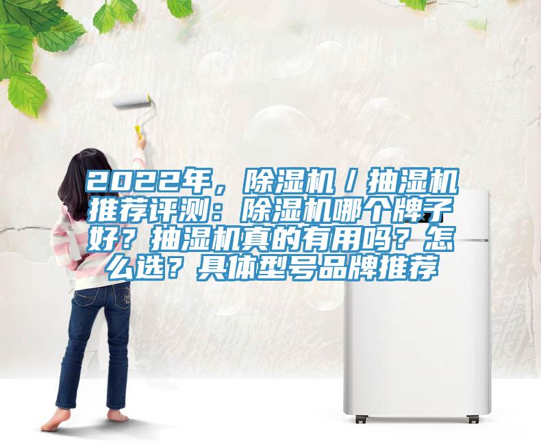 2022年，除濕機／抽濕機推薦評測：除濕機哪個牌子好？抽濕機真的有用嗎？怎么選？具體型號品牌推薦