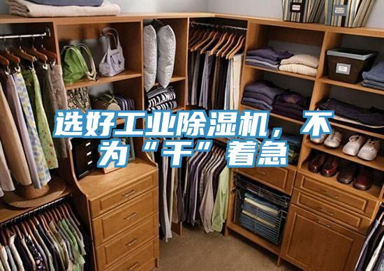 選好工業(yè)除濕機，不為“干”著急