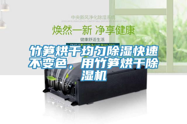 竹筍烘干均勻除濕快速不變色，用竹筍烘干除濕機(jī)