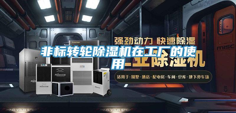 非標(biāo)轉(zhuǎn)輪除濕機(jī)在工廠(chǎng)的使用