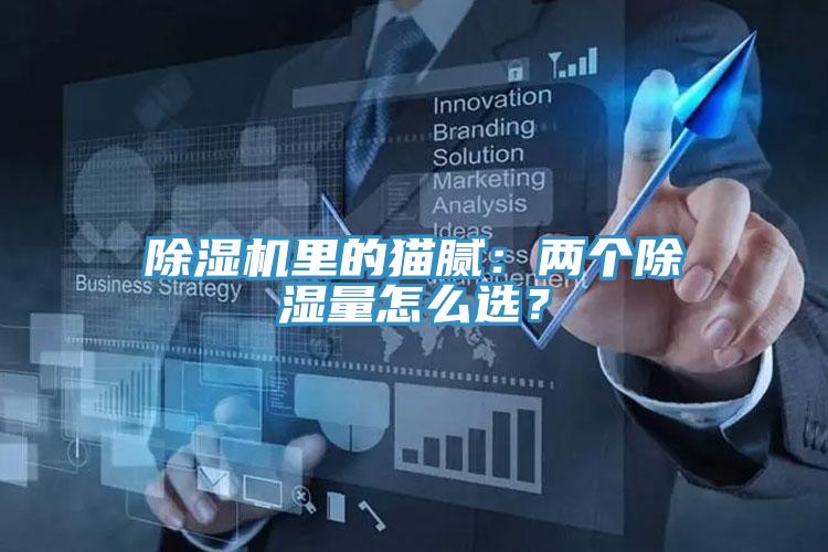 除濕機(jī)里的貓膩：兩個除濕量怎么選？