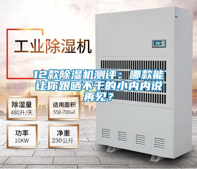 12款除濕機(jī)測(cè)評(píng)：哪款能讓你跟曬不干的小內(nèi)內(nèi)說(shuō)再見(jiàn)？