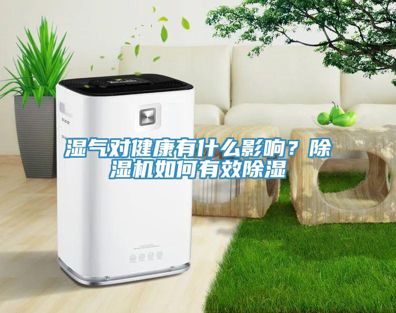 濕氣對健康有什么影響？除濕機(jī)如何有效除濕
