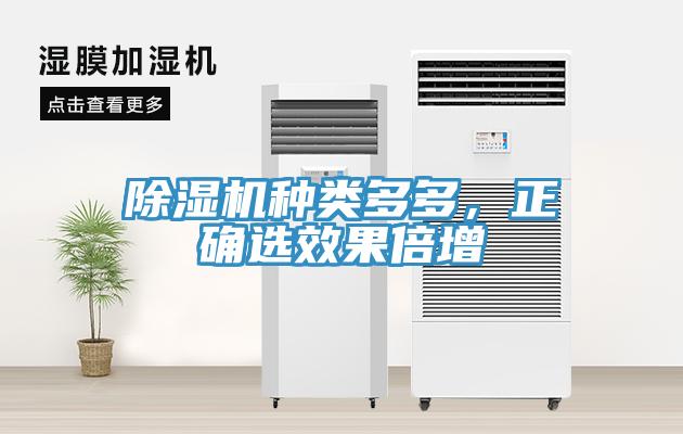 除濕機種類多多，正確選效果倍增