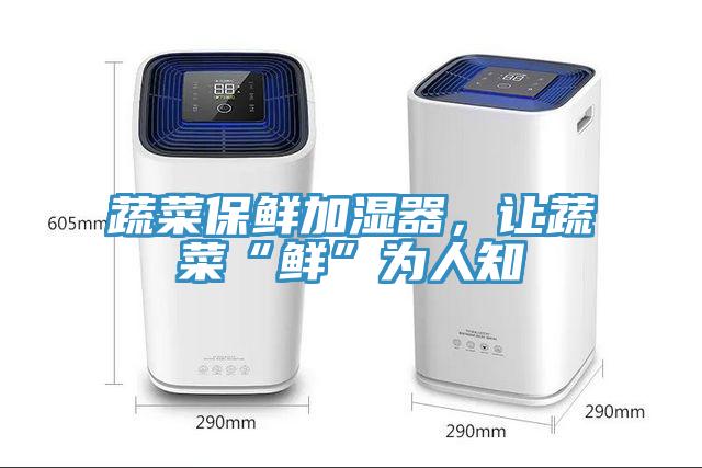 蔬菜保鮮加濕器，讓蔬菜“鮮”為人知