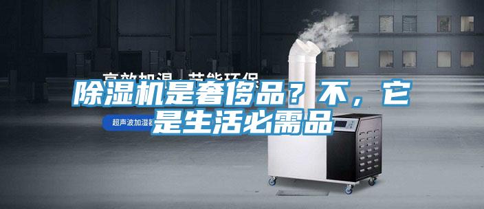 除濕機是奢侈品？不，它是生活必需品
