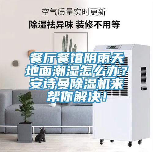 餐廳餐館陰雨天地面潮濕怎么辦？安詩曼除濕機(jī)來幫你解決！