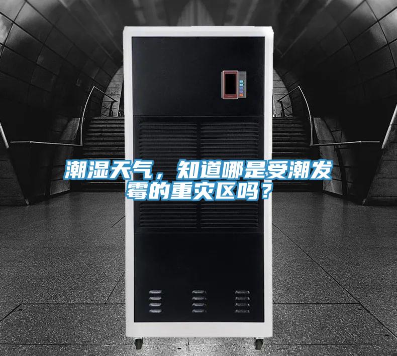 潮濕天氣，知道哪是受潮發(fā)霉的重災(zāi)區(qū)嗎？
