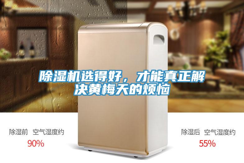除濕機選得好，才能真正解決黃梅天的煩惱