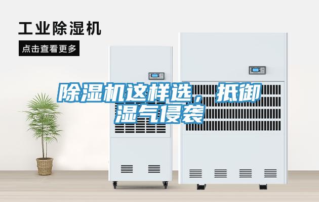 除濕機這樣選，抵御濕氣侵襲