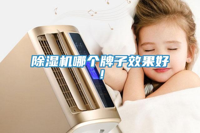 除濕機(jī)哪個牌子效果好！