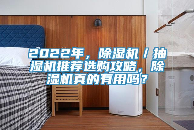 2022年，除濕機／抽濕機推薦選購攻略，除濕機真的有用嗎？