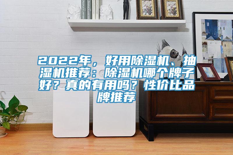 2022年，好用除濕機、抽濕機推薦：除濕機哪個牌子好？真的有用嗎？性價比品牌推薦