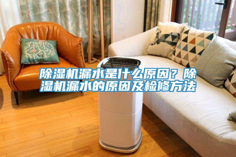 除濕機(jī)漏水是什么原因？除濕機(jī)漏水的原因及檢修方法