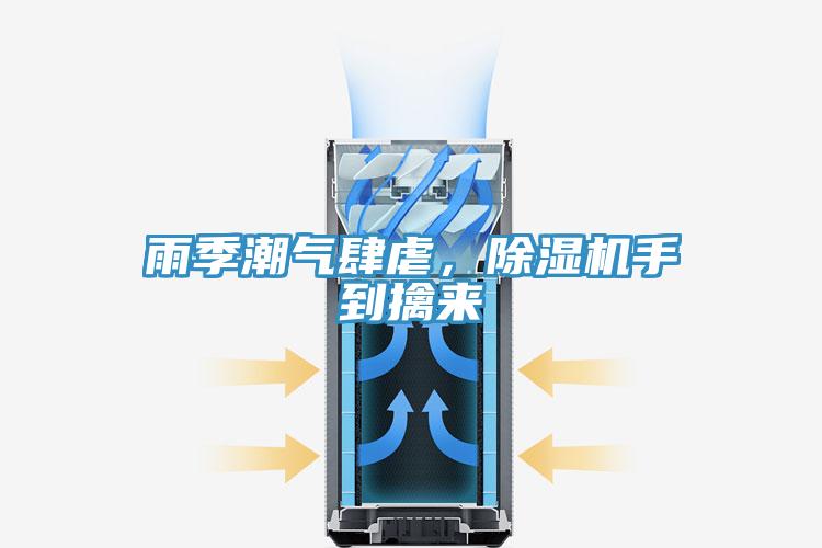 雨季潮氣肆虐，除濕機手到擒來