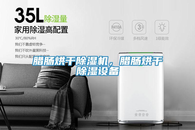 臘腸烘干除濕機，臘腸烘干除濕設(shè)備