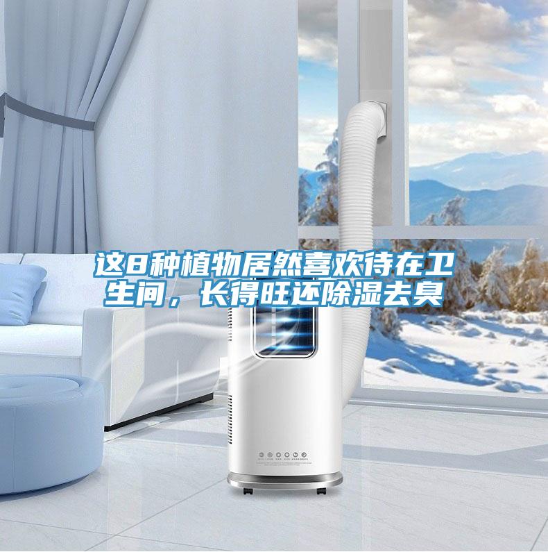這8種植物居然喜歡待在衛(wèi)生間，長得旺還除濕去臭