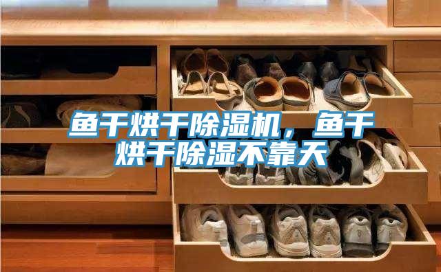 魚干烘干除濕機(jī)，魚干烘干除濕不靠天