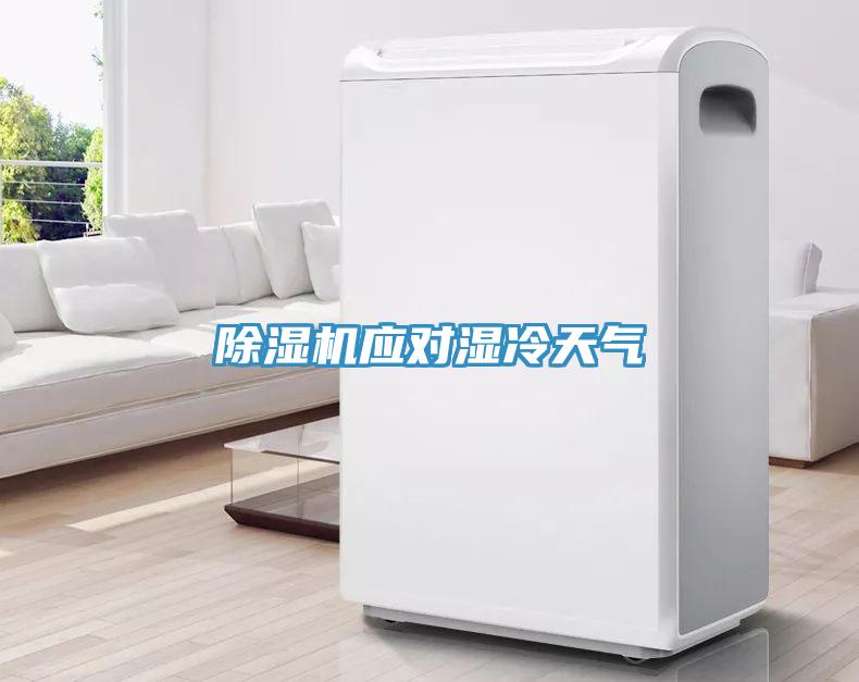 除濕機(jī)應(yīng)對濕冷天氣