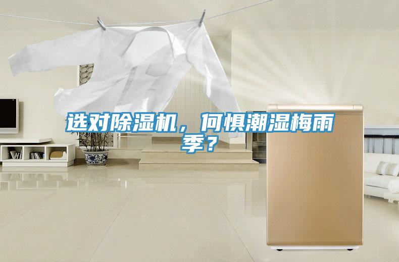 選對(duì)除濕機(jī)，何懼潮濕梅雨季？