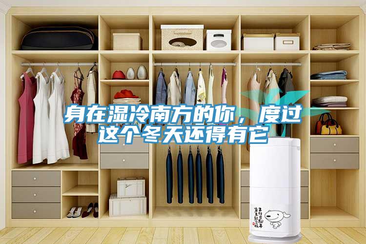 身在濕冷南方的你，度過這個(gè)冬天還得有它