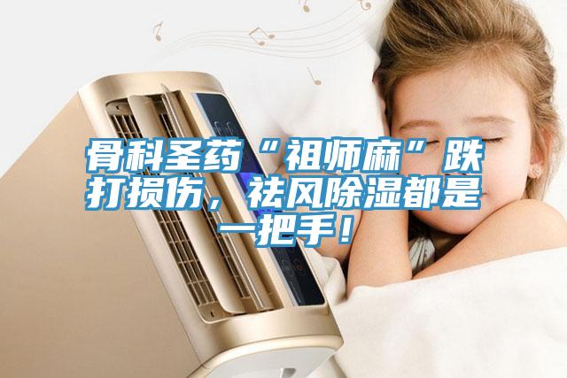 骨科圣藥“祖師麻”跌打損傷，祛風(fēng)除濕都是一把手！