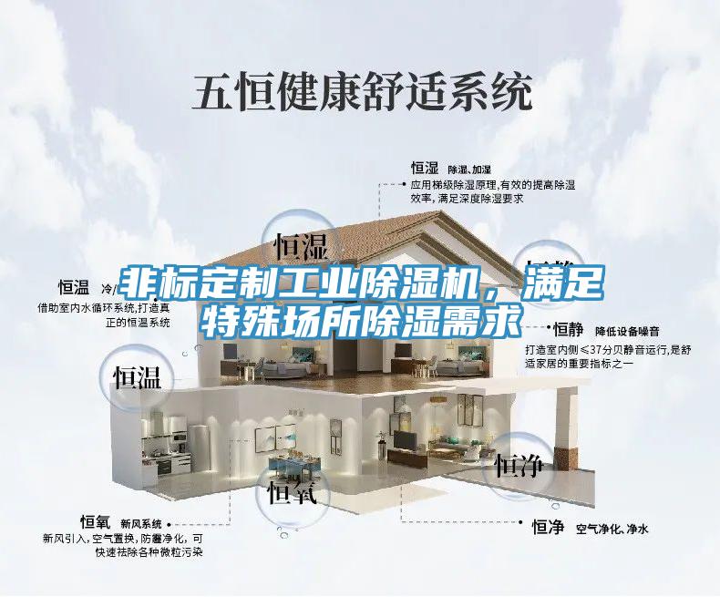 非標(biāo)定制工業(yè)除濕機(jī)，滿(mǎn)足特殊場(chǎng)所除濕需求