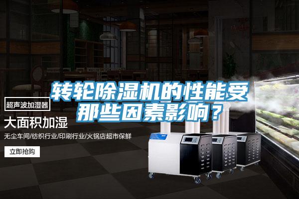 轉(zhuǎn)輪除濕機的性能受那些因素影響？