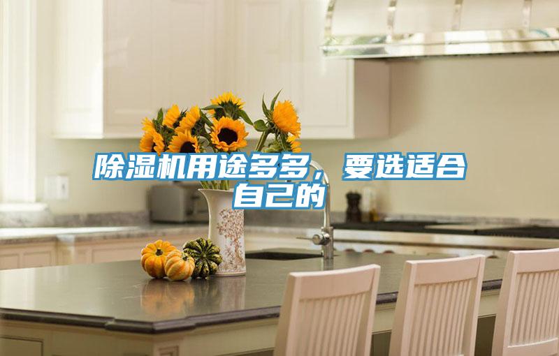 除濕機(jī)用途多多，要選適合自己的