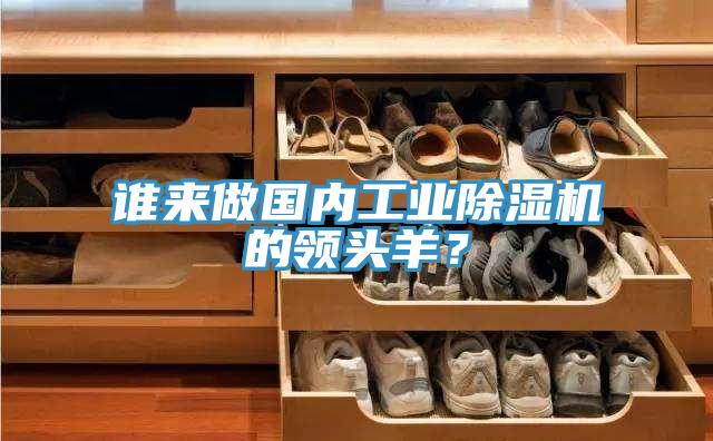 誰來做國內(nèi)工業(yè)除濕機的領頭羊？