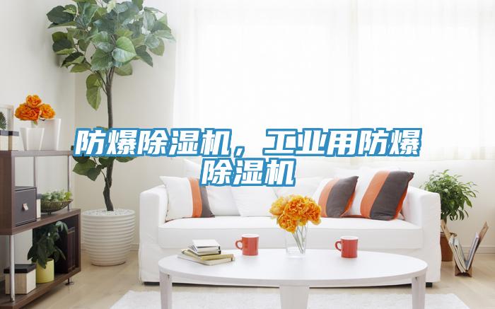 防爆除濕機，工業(yè)用防爆除濕機