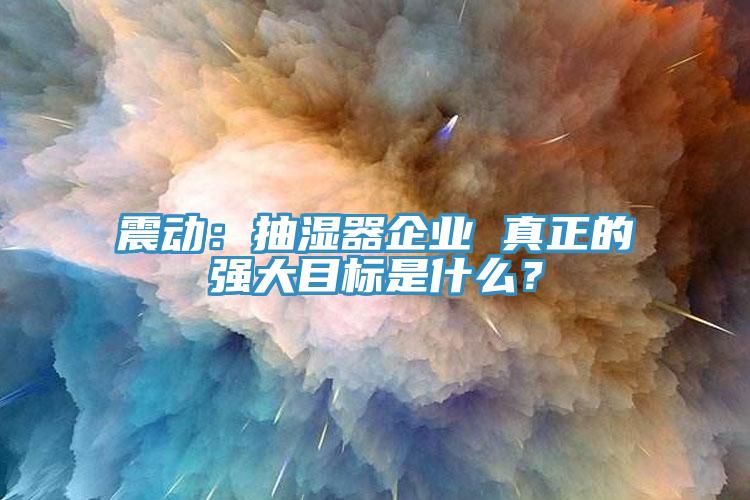 震動(dòng)：抽濕器企業(yè) 真正的強(qiáng)大目標(biāo)是什么？