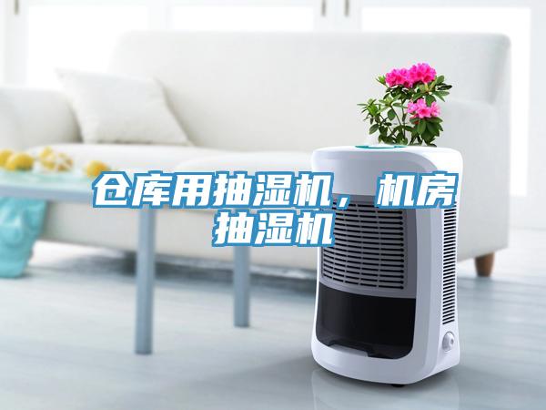 倉(cāng)庫(kù)用抽濕機(jī)，機(jī)房抽濕機(jī)