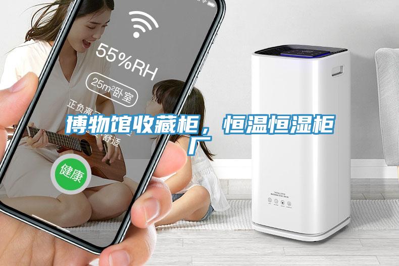 博物館收藏柜，恒溫恒濕柜廠